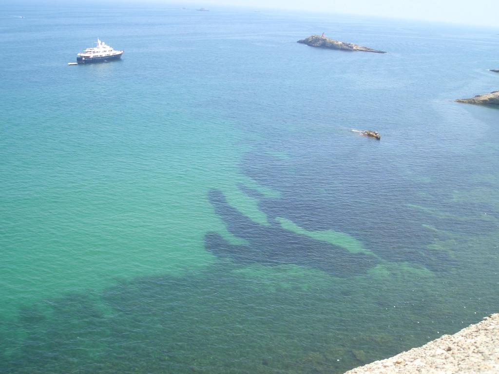 Bild vergr&ouml;ssern