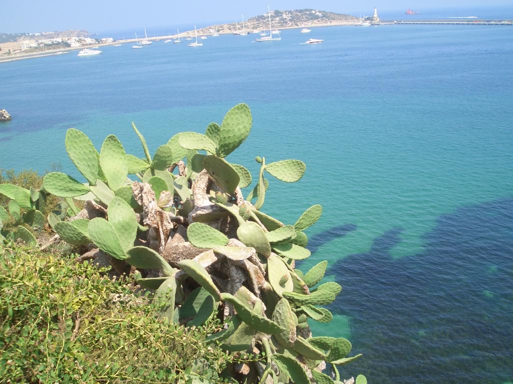 Bild vergr&ouml;ssern