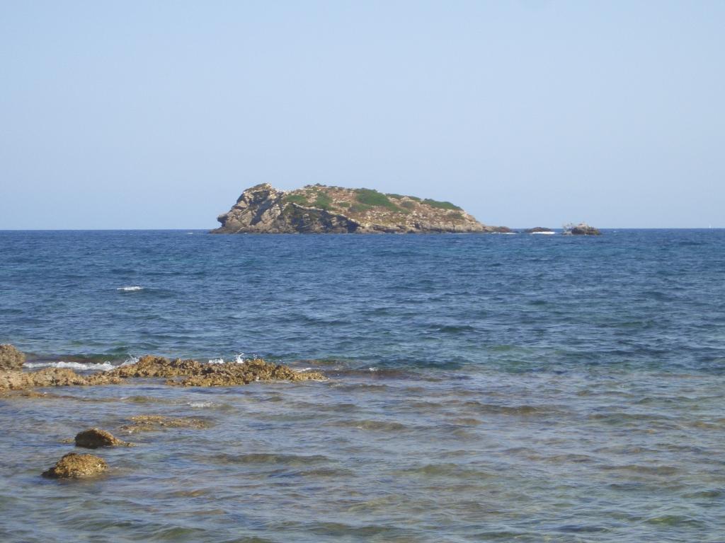 Bild vergr&ouml;ssern