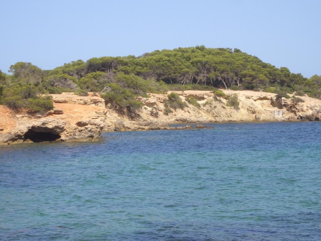 Bild vergr&ouml;ssern