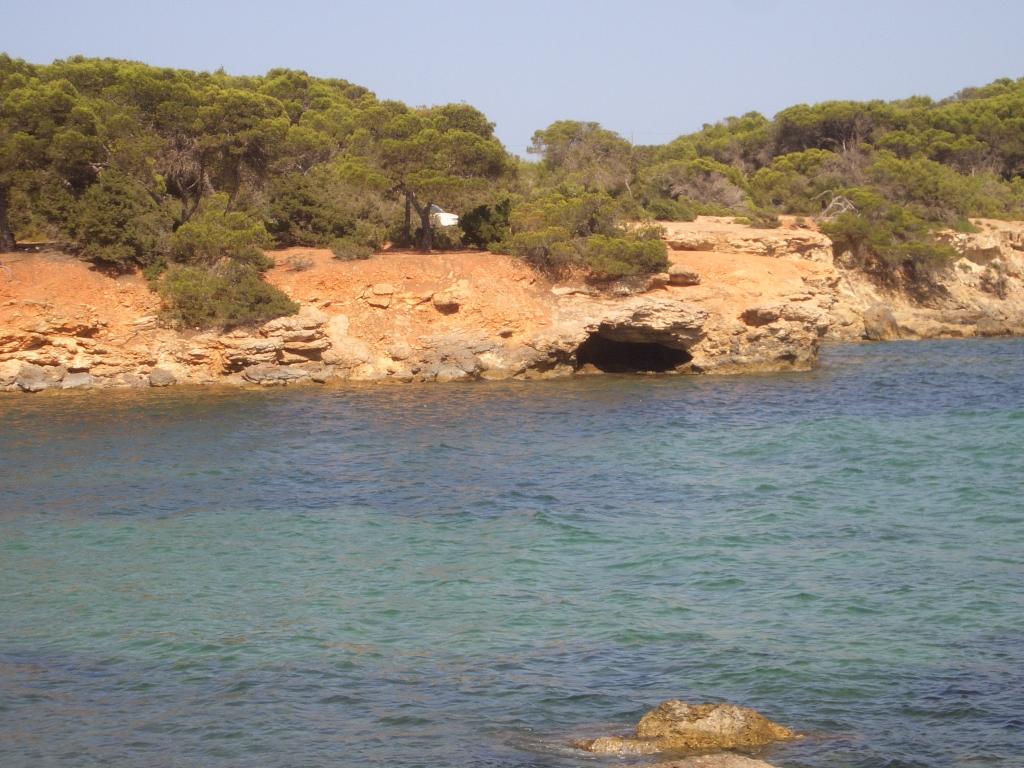 Bild vergr&ouml;ssern