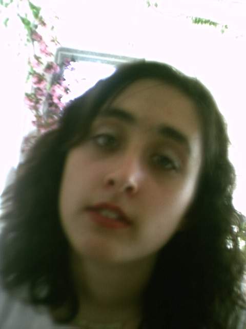 Bild vergr&ouml;ssern