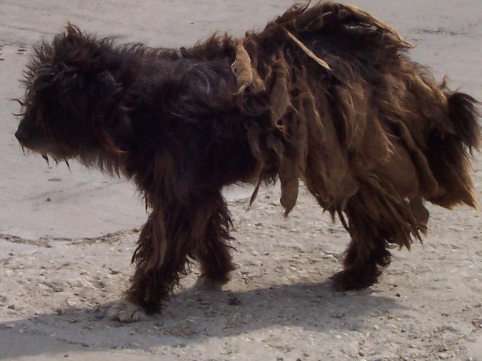 Bild vergr&ouml;ssern