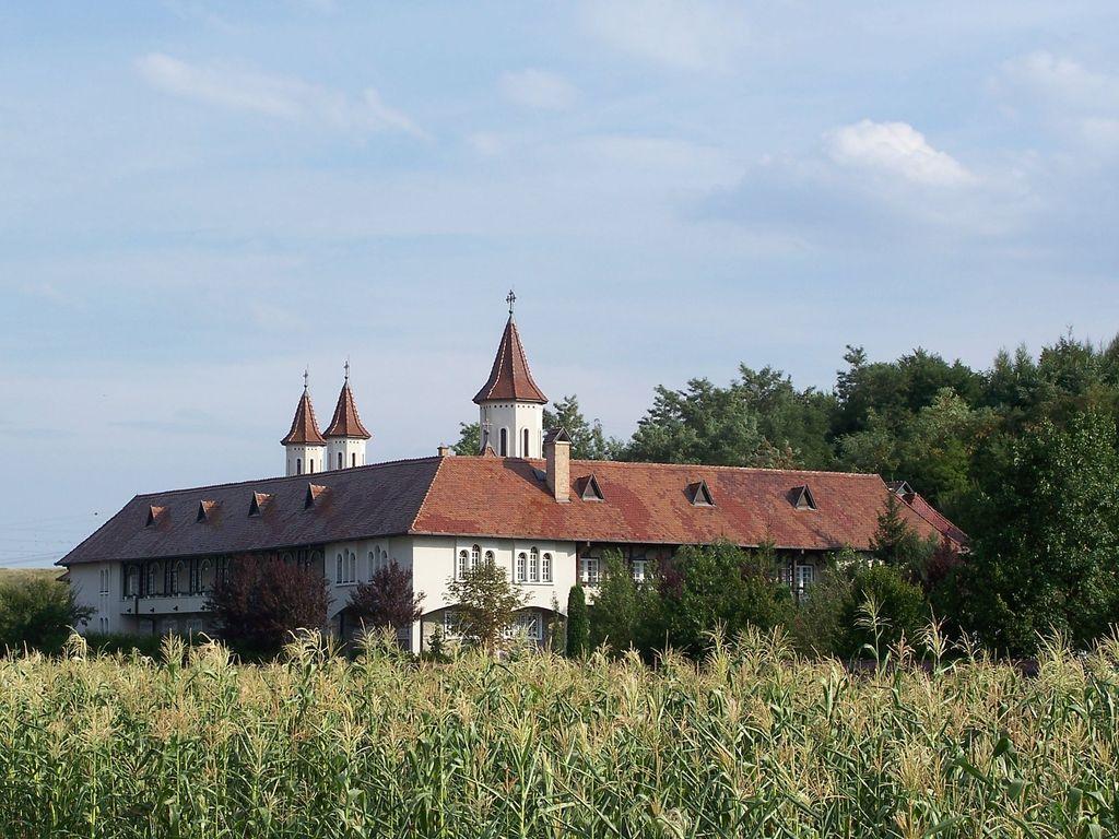 Bild vergr&ouml;ssern