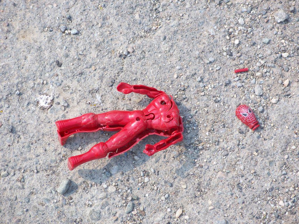 Bild vergr&ouml;ssern