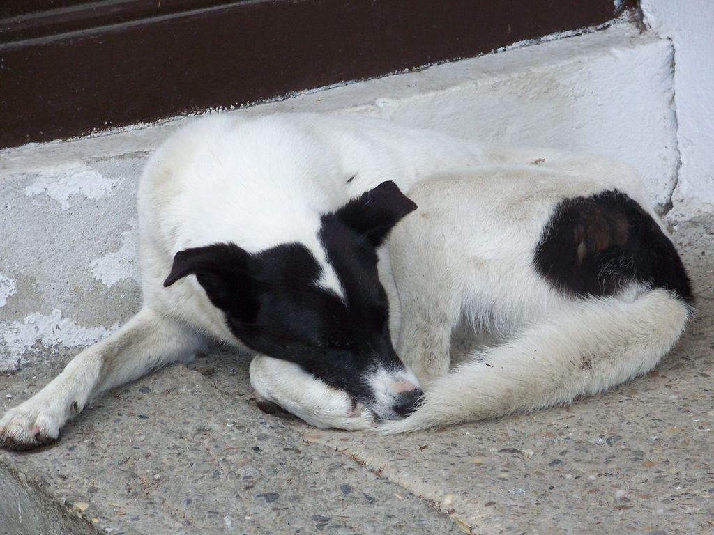 Bild vergr&ouml;ssern