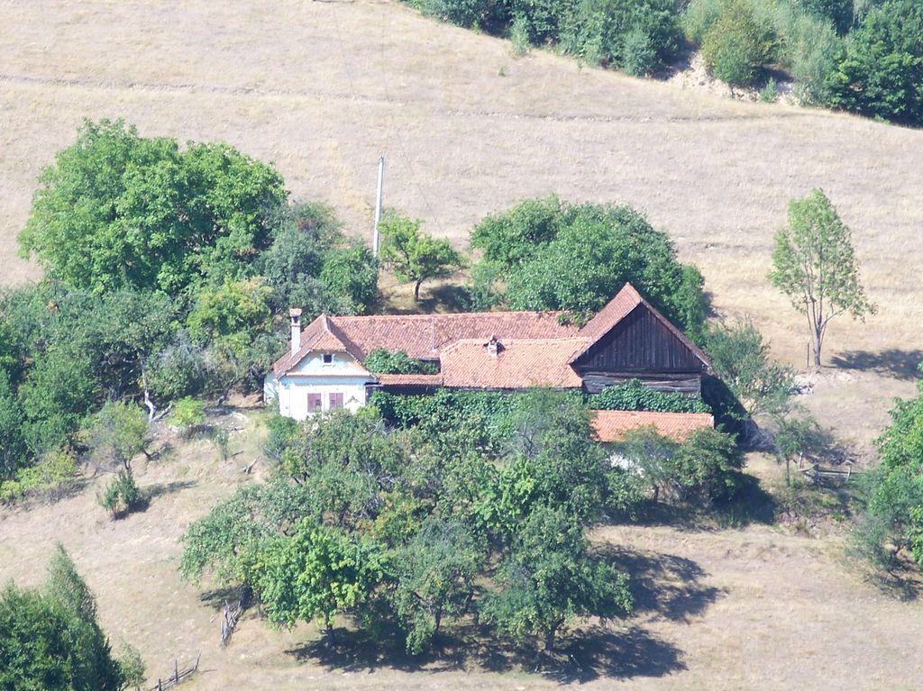 Bild vergr&ouml;ssern