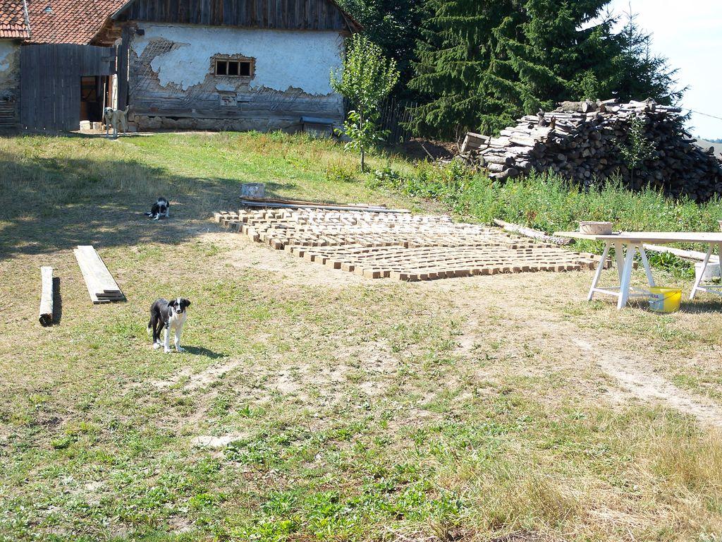 Bild vergr&ouml;ssern