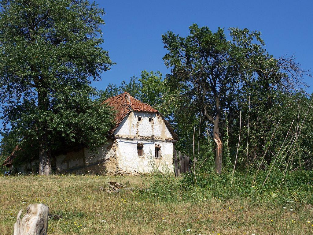 Bild vergr&ouml;ssern