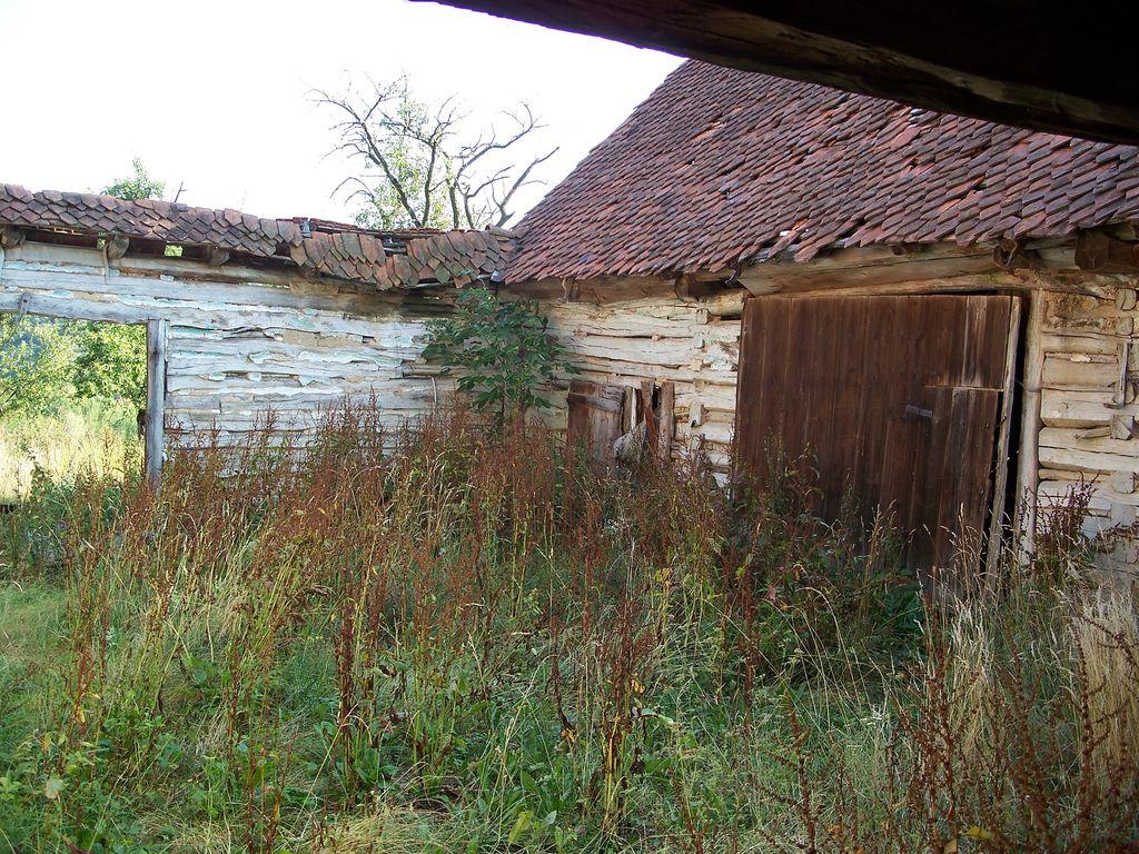 Bild vergr&ouml;ssern