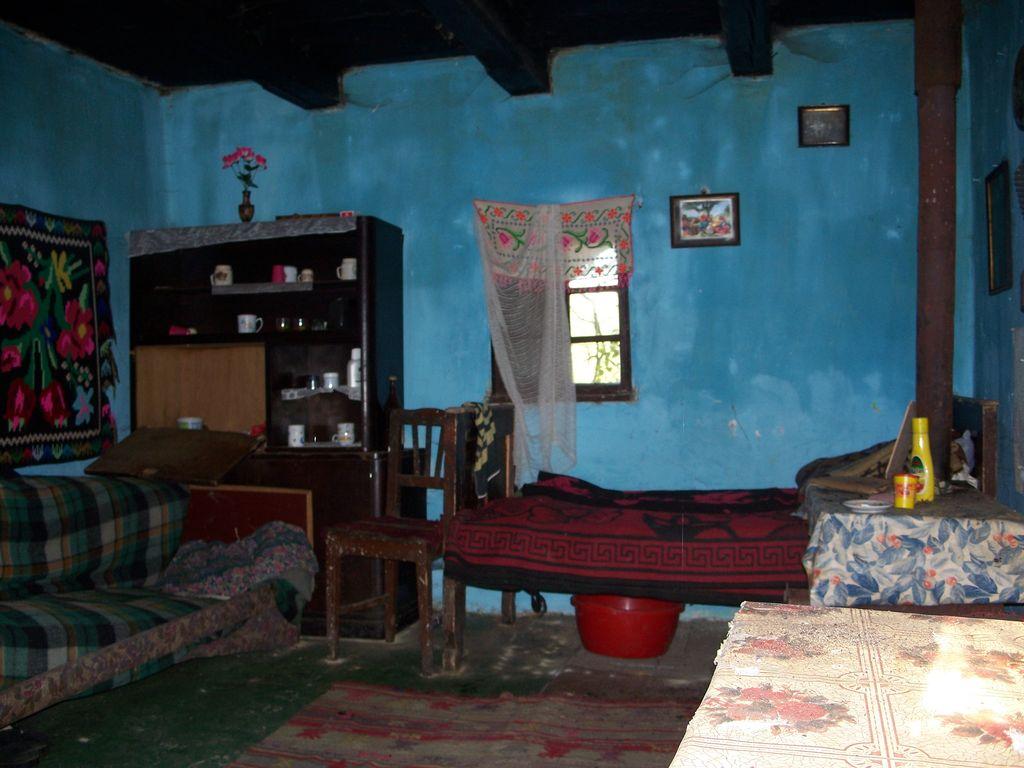 Bild vergr&ouml;ssern