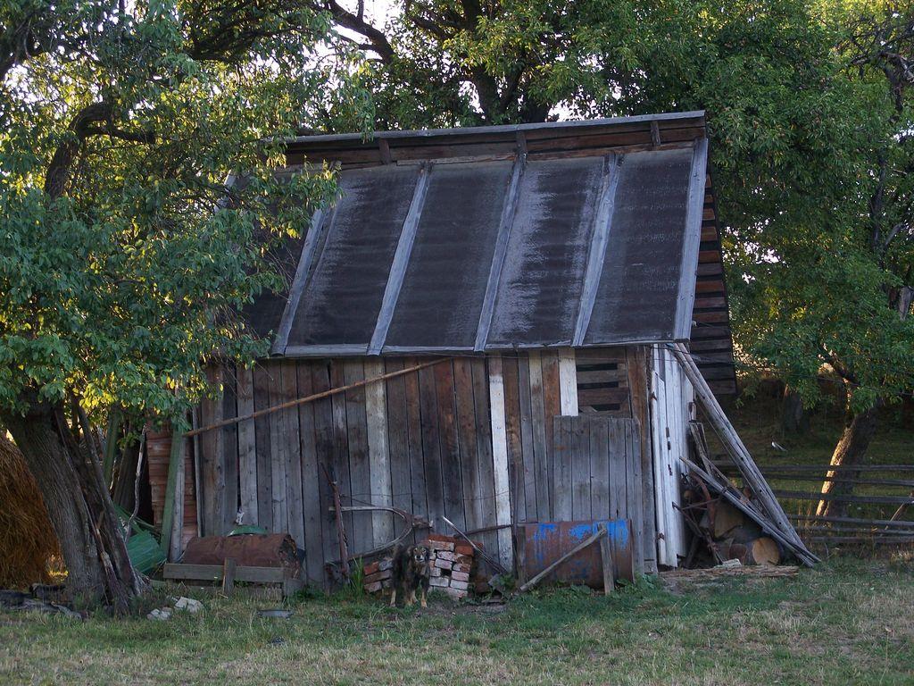 Bild vergr&ouml;ssern