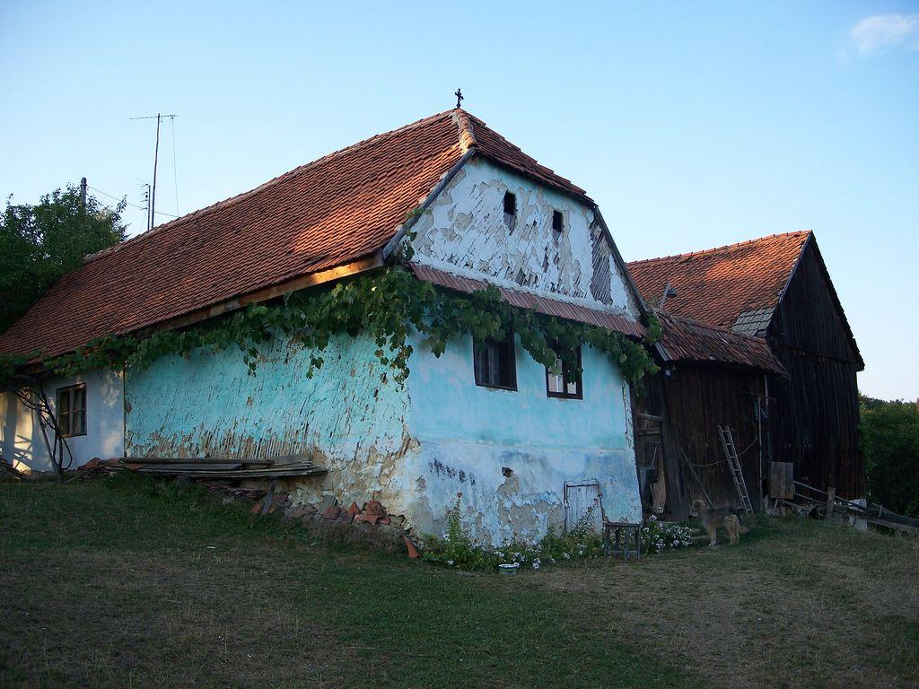 Bild vergr&ouml;ssern