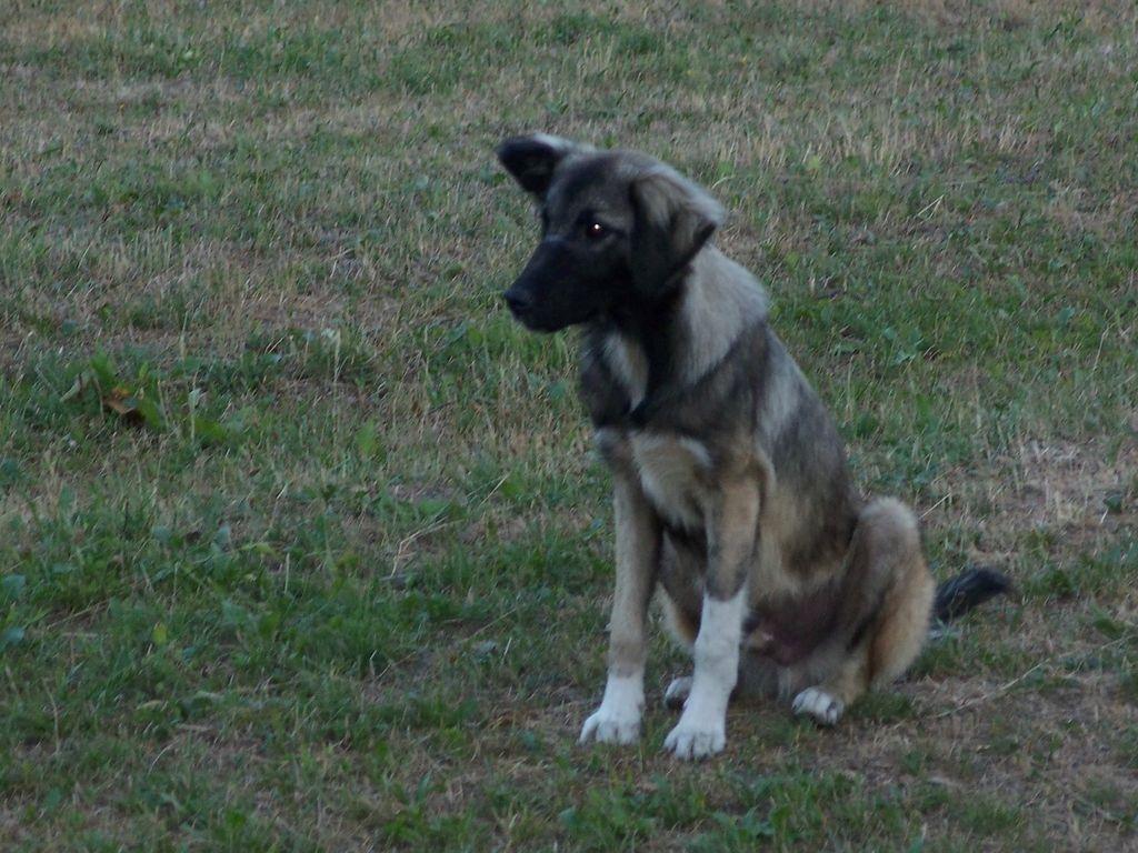 Bild vergr&ouml;ssern