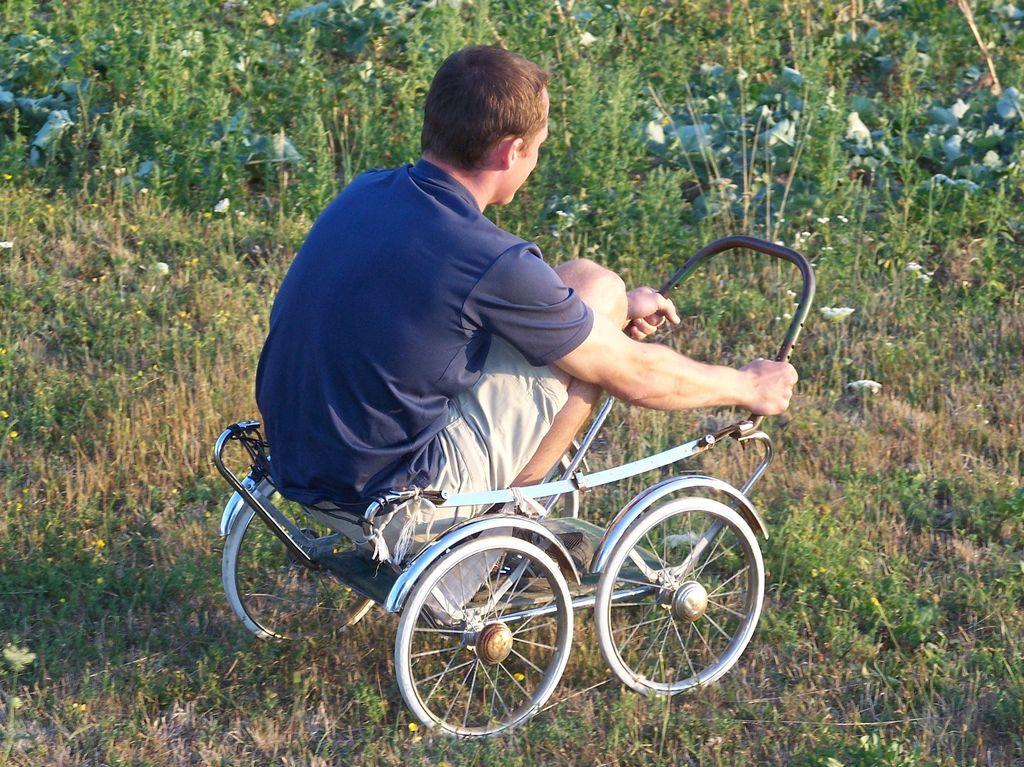 Bild vergr&ouml;ssern