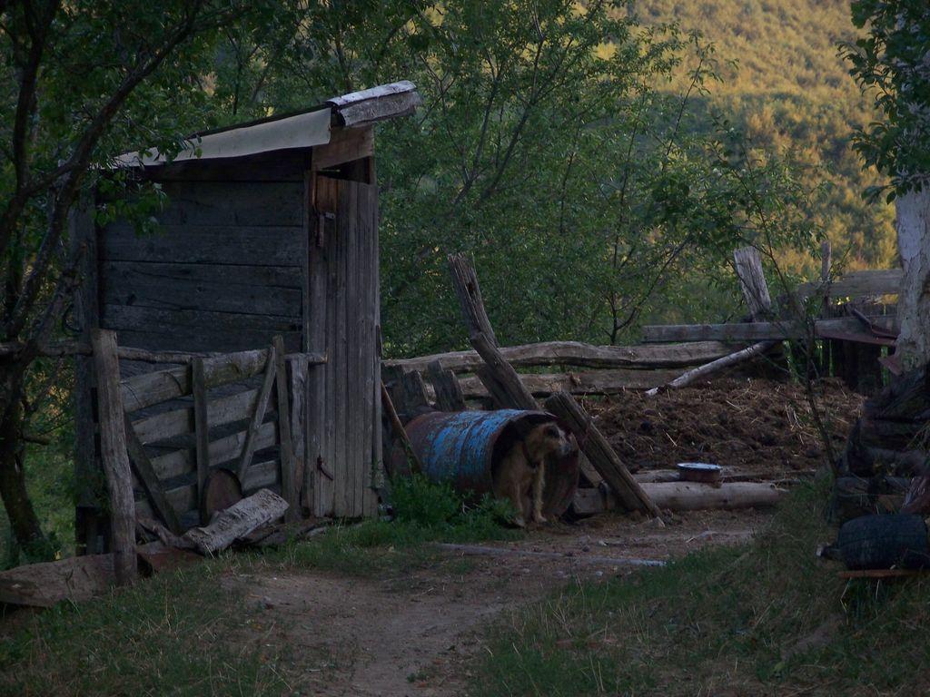 Bild vergr&ouml;ssern