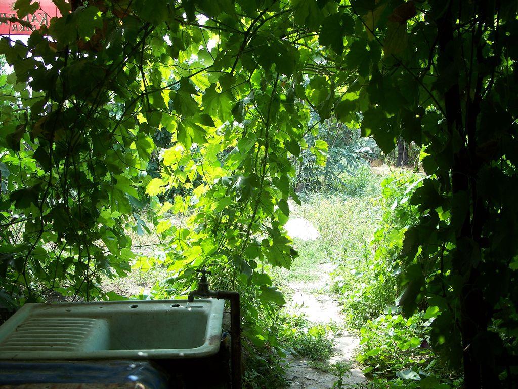 Bild vergr&ouml;ssern