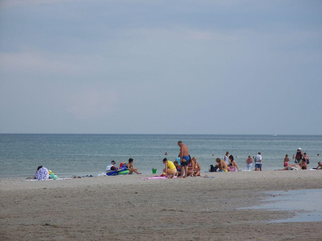 Bild vergr&ouml;ssern