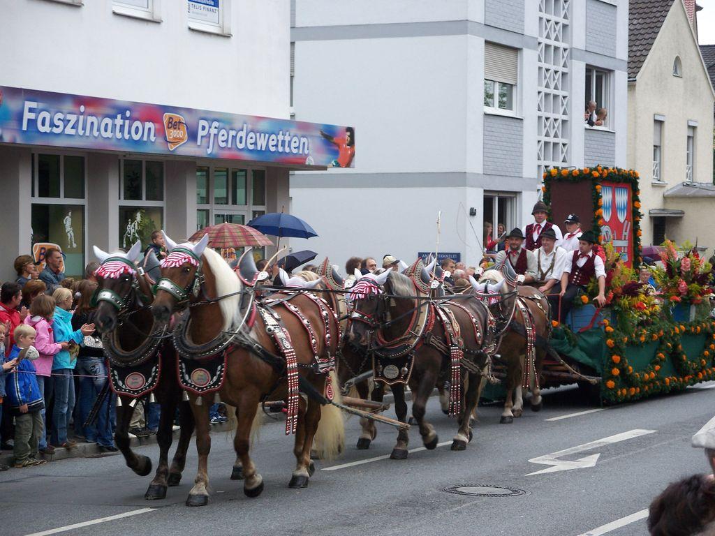 Bild vergr&ouml;ssern