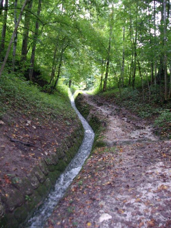 Bild vergr&ouml;ssern