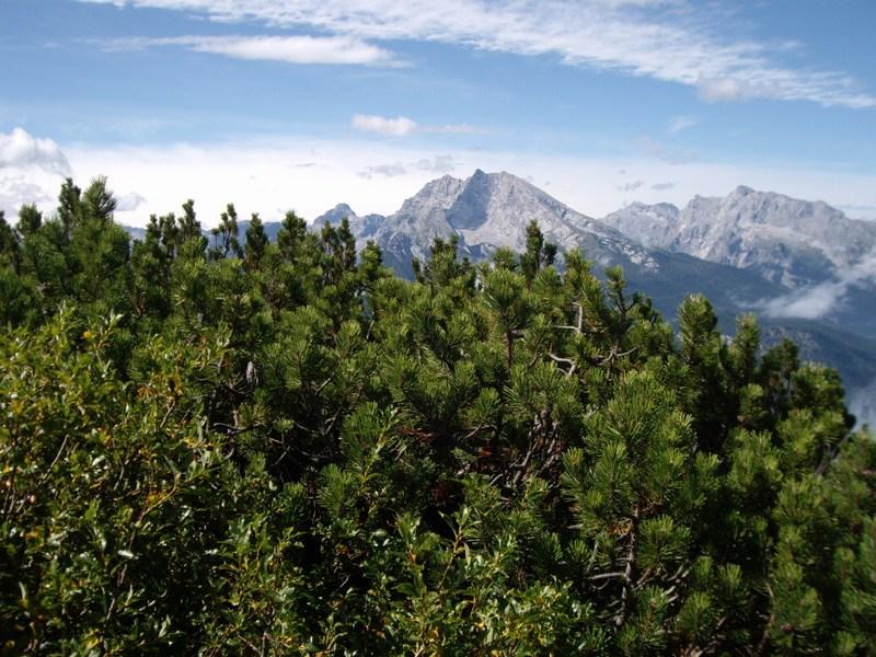 Bild vergr&ouml;ssern