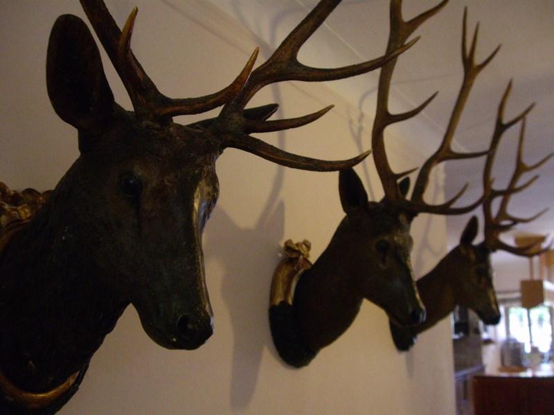 Bild vergr&ouml;ssern