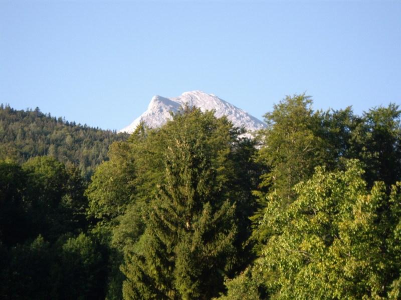 Bild vergr&ouml;ssern