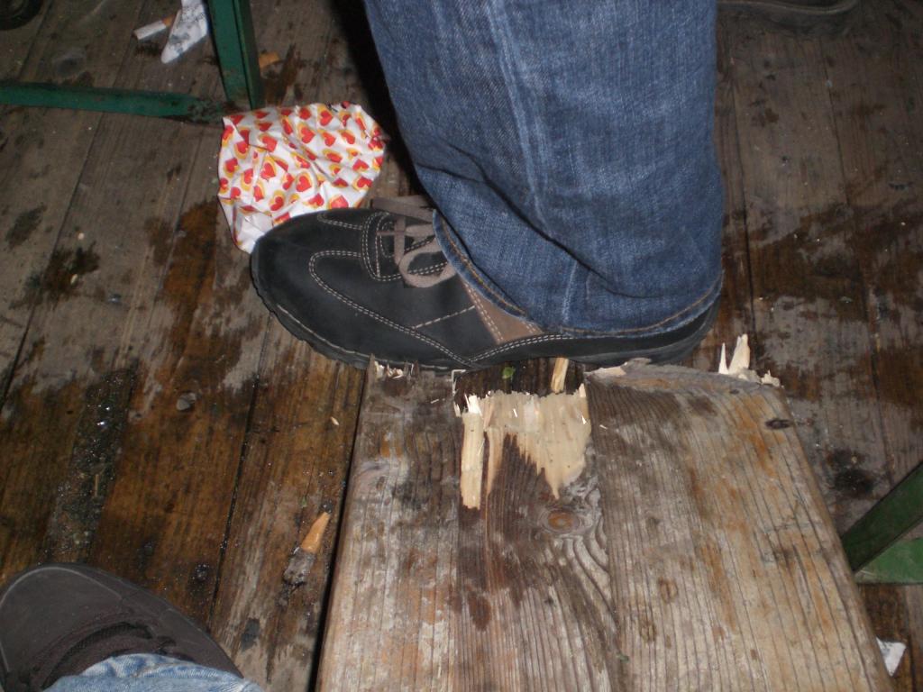 Bild vergr&ouml;ssern