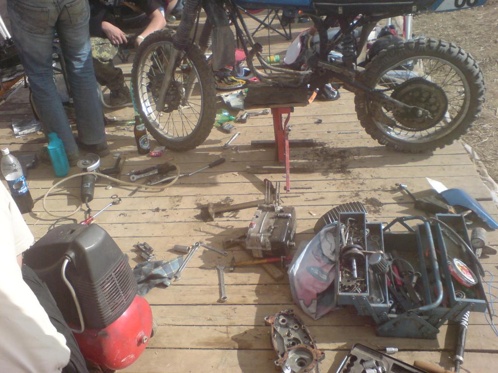 Bild vergr&ouml;ssern