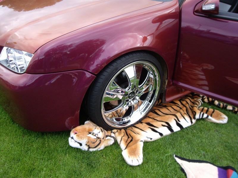 Bild vergr&ouml;ssern