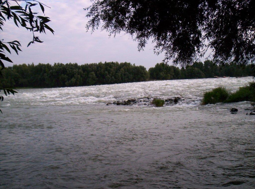 Bild vergr&ouml;ssern