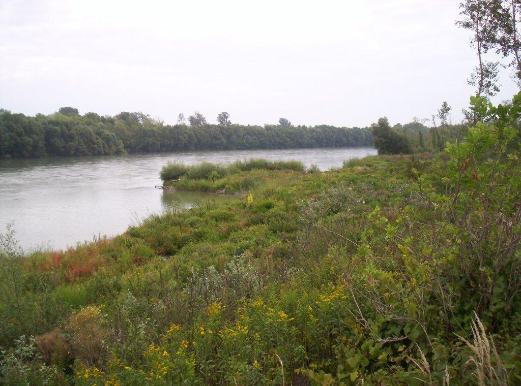 Bild vergr&ouml;ssern