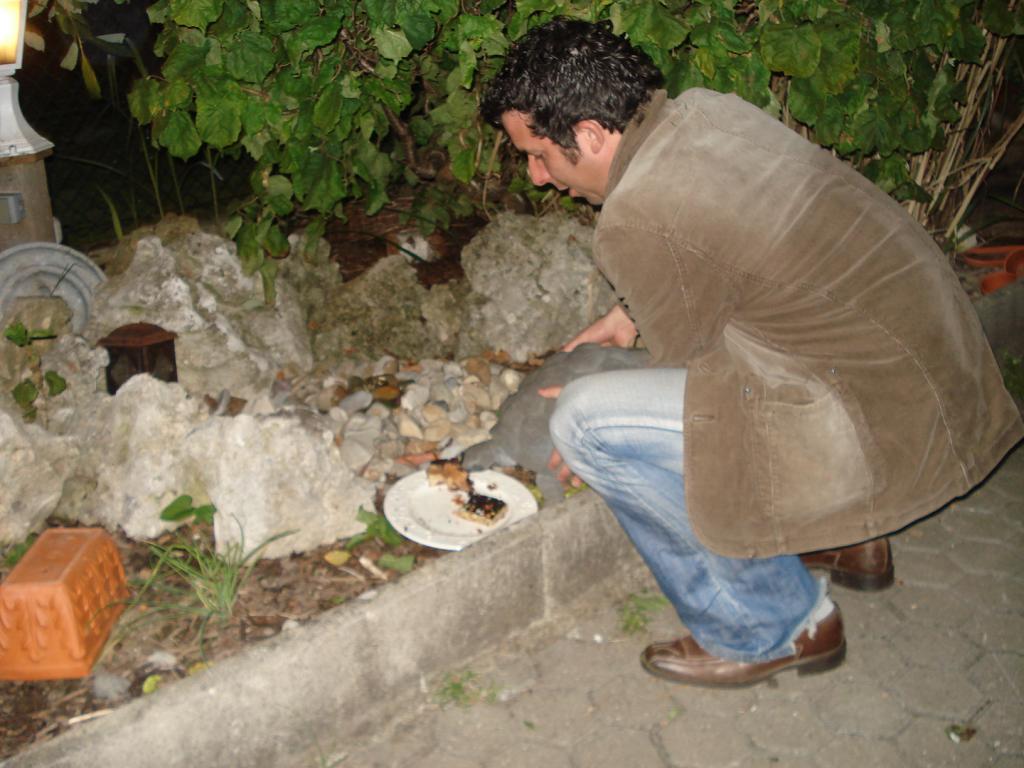 Bild vergr&ouml;ssern