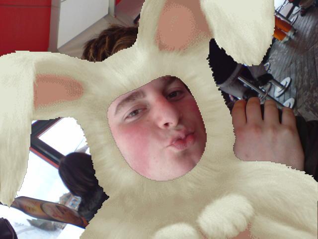 Bild vergr&ouml;ssern