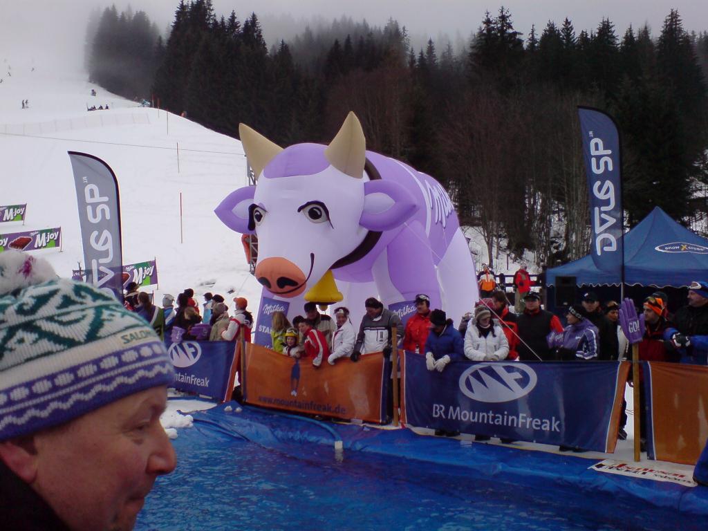 Bild vergr&ouml;ssern