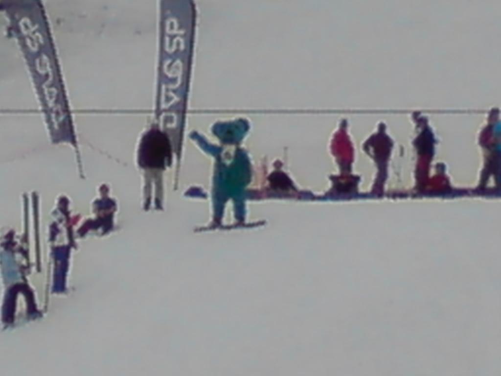 Bild vergr&ouml;ssern