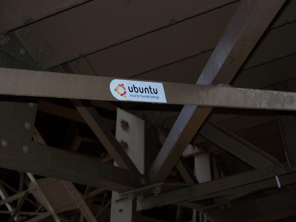 Bild vergr&ouml;ssern