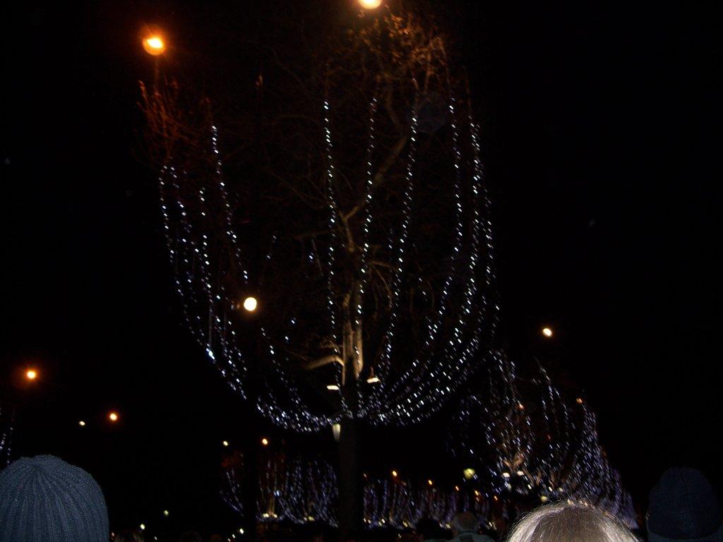 Bild vergr&ouml;ssern