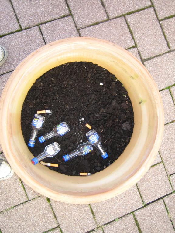 Bild vergr&ouml;ssern