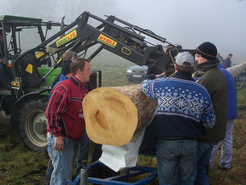 Bild vergr&ouml;ssern