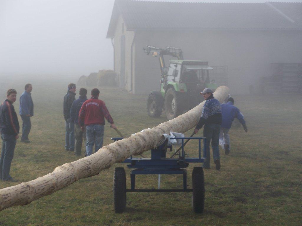 Bild vergr&ouml;ssern