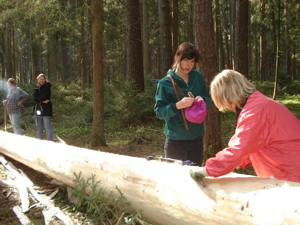 Bild vergr&ouml;ssern