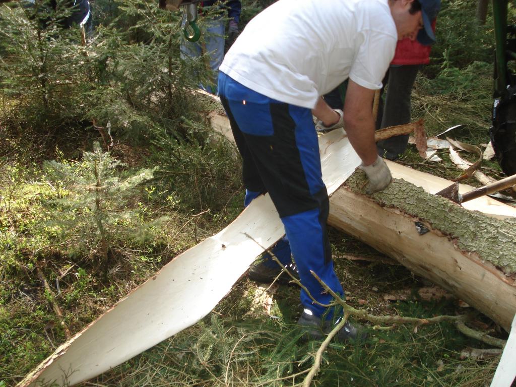 Bild vergr&ouml;ssern