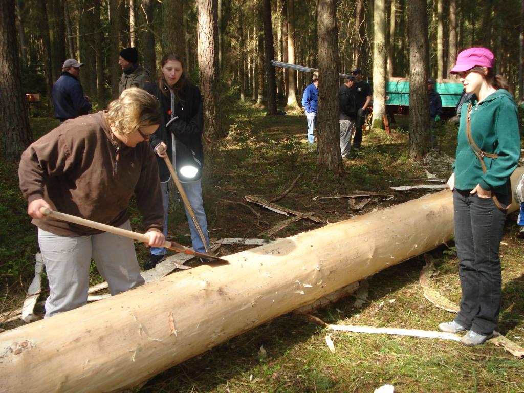 Bild vergr&ouml;ssern