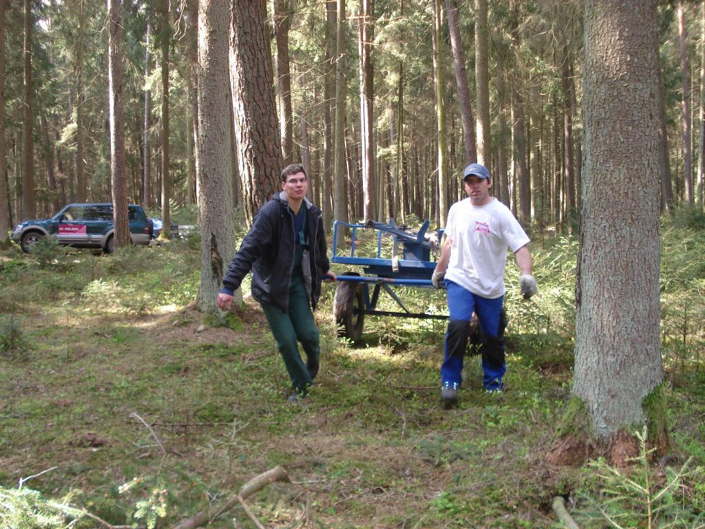 Bild vergr&ouml;ssern