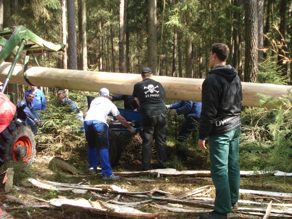 Bild vergr&ouml;ssern