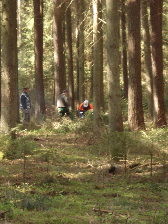 Bild vergr&ouml;ssern