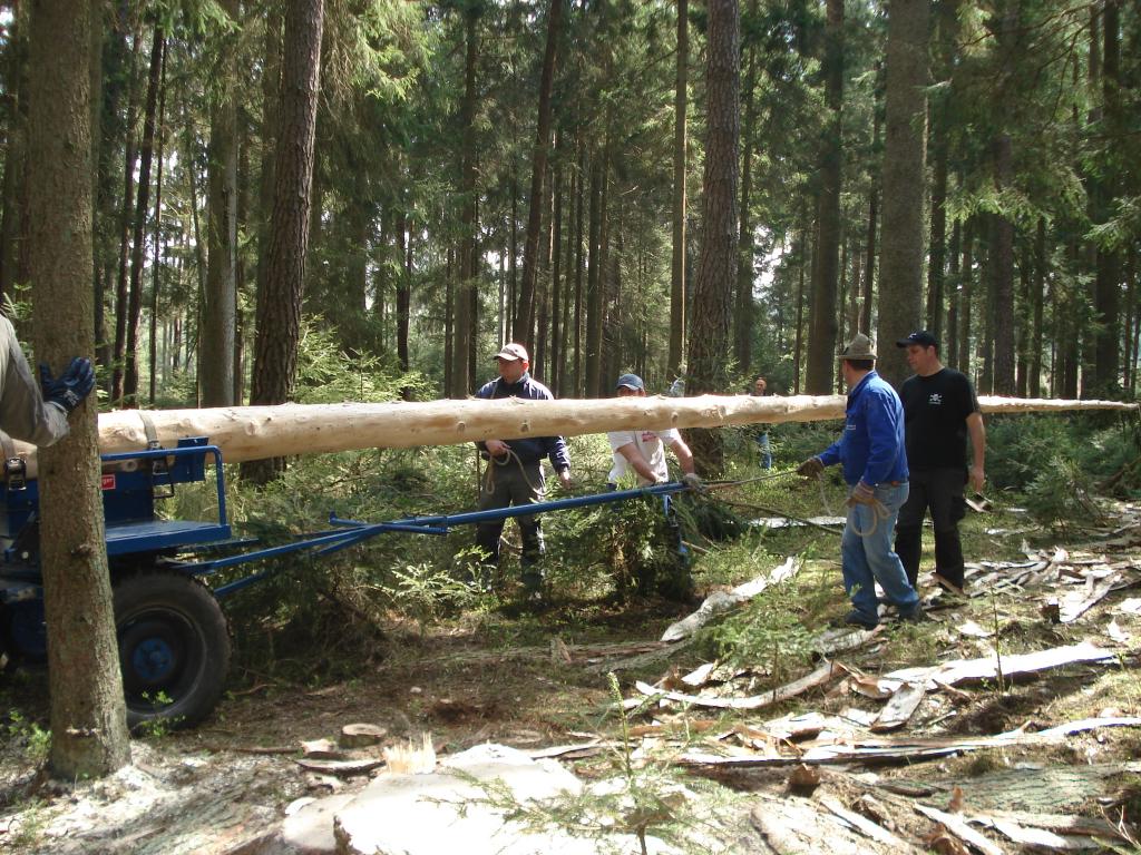 Bild vergr&ouml;ssern