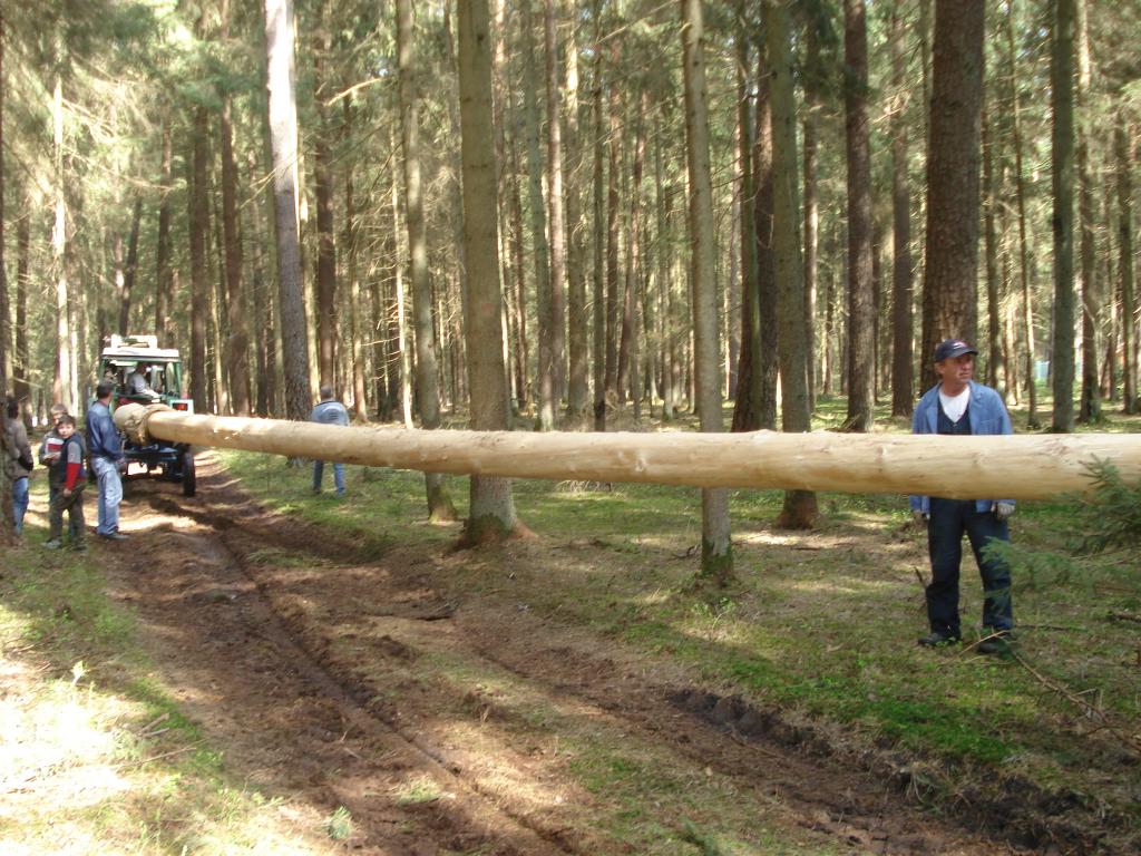 Bild vergr&ouml;ssern