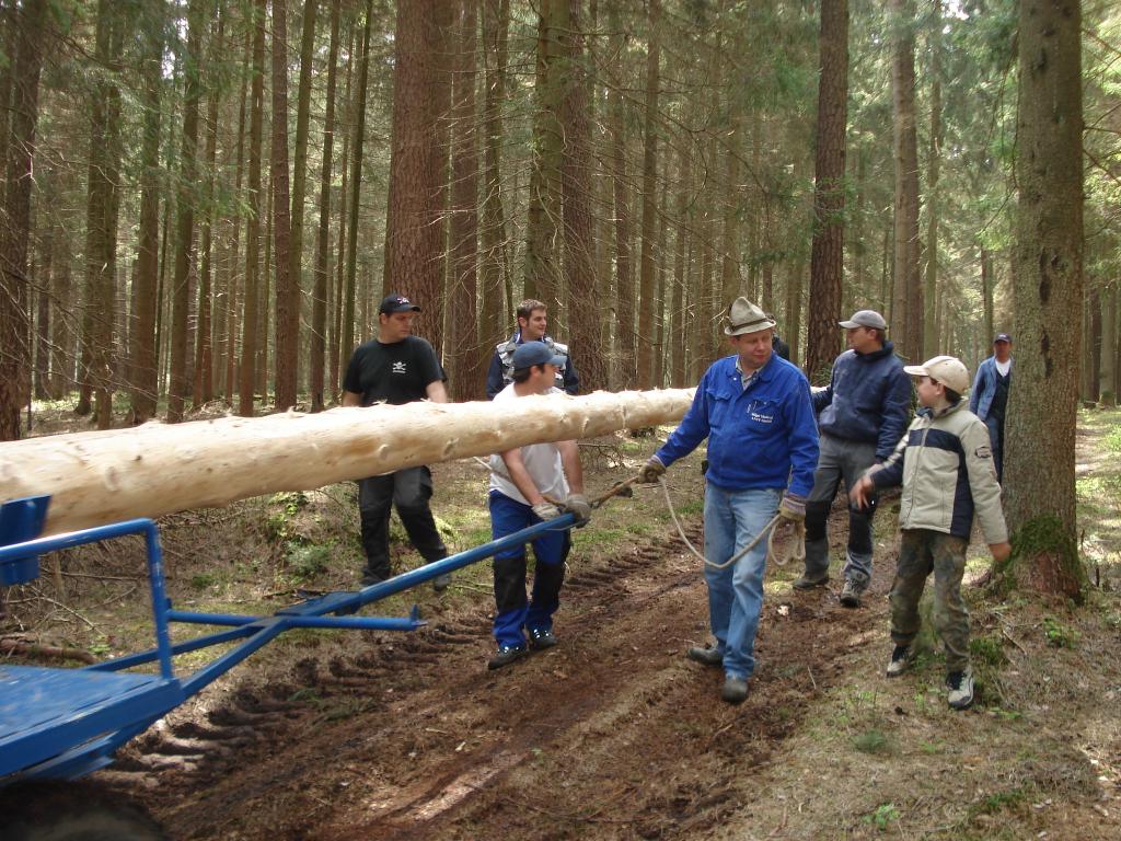 Bild vergr&ouml;ssern